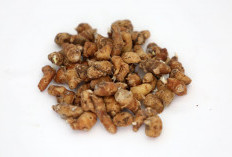 Manfaat Kencur Campur Jahe, Ampuh Atasi Masuk Angin