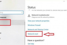 Laptop Mendadak Enggak Bisa Akses WiFi? Ini Penyebabnya