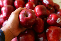 Bisa Membantu Penyembuhan, Ini 3 Jenis Buah yang Bagus untuk Penderita Strok