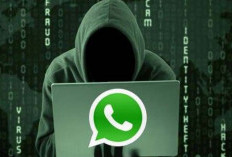 Cara Mudah Mengembalikan WhatsApp yang Di Retas