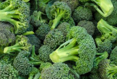 Daftar Makanan Pengganti Nasi yang Aman Anda Konsumsi