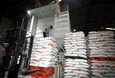 Cadangan Beras Nasional Cukup untuk 324 Hari ke Depan