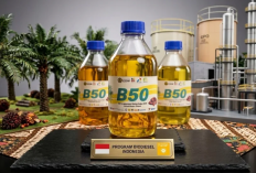 BBM B50 Bakal Diterapkan 1 Juli 2026, Lebih Irit Dibanding Solar?