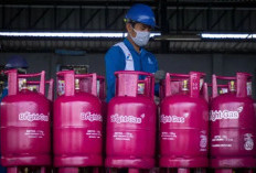 Pertamina Resmi Naikkan Harga LPG 12 Kg Jadi Rp 228 Ribu, Cek Rinciannya!