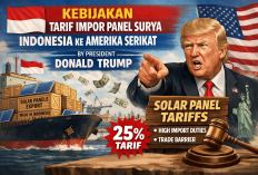 Trump Tetapkan Tarif Impor Panel Surya RI 104 Persen, Apa Dampaknya?
