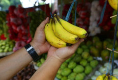 Asam Lambung Sering Kambuh? Coba Rutin Konsumsi 4 Buah Penyelamat Lambung Ini