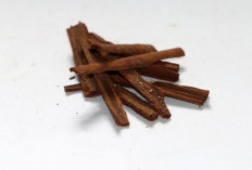 Siklus Menstruasi Berantakan? Coba Atasi dengan 3 Ramuan Herbal Ini