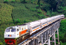 Daftar Kendaraan yang Tidak Perlu Bayar Pajak Tahunan di Indonesia 2026