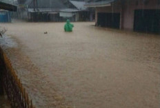 Ini Langkah Pemprov Bengkulu untuk Atasi Banjir di Lebong, Simak 