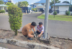 Pembakaran Sampah Picu Kerusakan LPJU di Lebong
