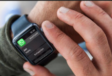 Cara Unduh dan Gunakan WhatsApp di Apple Watch