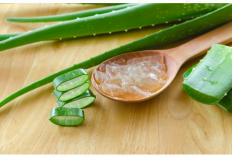 Tanpa Bahan Kimia, Inilah Ragam Perawatan Alami untuk Kulit Berjerawat