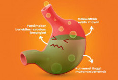 Mudik Aman Bagi Penderita GERD, Simak Saran Dokter