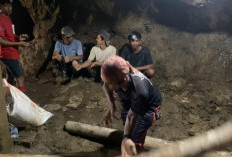 Sambut Kedatangan Gubernur Bengkulu ke Lebong, Penambang Emas Kumpulkan Dana Puluhan Juta