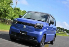 Suzuki e-Sky Masuk Indonesia, Harga Mulai Rp240 Jutaan