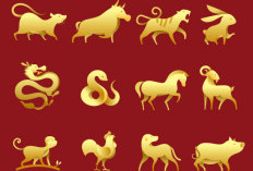 Ramalan Shio 2026: 6 Shio Paling Beruntung dan Kaya Mulai 14 Februari