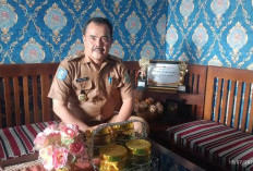 9 Desa di Lebong Belum Ajukan DD dan ADD, PMD Minta Kepala Desa Terbuka Soal Kendala