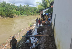 Pemdes Pangkalan Bersama Warga Goro Perbaiki Bronjong yang Amblas Terseret Arus Sungai