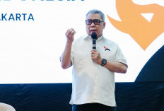 PSI Ogah Beri Bantuan Hukum untuk Grace Natalie, Sebut Pernyataan Terkait JK Motif Pribadi