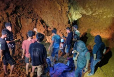 Empat Karyawan Tambang Nikel PT KDI Tewas Tertimbun Longsor di Konawe Utara