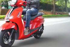  Kenapa Honda Giorno Tidak Masuk Indonesia? Strategi Honda Memilih Stylo untuk Pasar Motor Retro