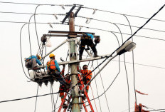 IMEW Minta Publik Tak Buru-Buru Kaitkan Kasus Blackout dengan Dugaan Korupsi Batu Bara
