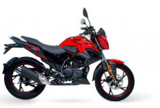 Shineray JEF 170 2026 Bawa Tenaga Lebih Besar dan Fitur Modern