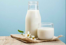 Bahaya Minum Susu Berlebihan, Jerawat Bakalan Makin Betah