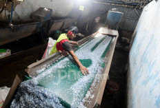 Harga Plastik Naik,Purbaya Sebut Hanya Sementara