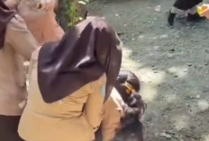 Dugaan Penganiayaan Siswa di Kota Bengkulu, Korban Alami Trauma dan Laporkan ke Polisi