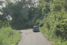 Jalan Provinsi di Talang Ratu Terancam Putus, Pemkab Lebong Segera Koordinasi