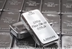 Jenis Perak yang Digunakan Sebagai Tabungan dan Investasi
