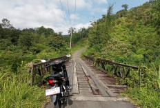 Jembatan Kayu Mangkurajo Membahayakan, Warga Minta Perbaikan Permanen