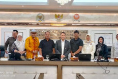 Gaji dari APBN hingga Setara PNS, Ini 4 Tuntutan Krusial PPPK dan P3K PW ke DPR dan KemenPANRB