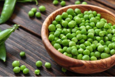 5 Manfaat Kacang Polong untuk Kesehatan, Bantu Jaga Gula Darah hingga Kesehatan Mata