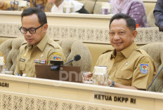 Mendagri Ingatkan Pemda Waspadai Dampak Geopolitik Global Terhadap Inflasi Daerah