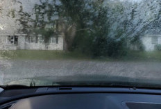 Atasi Kaca Mobil Buram Karena Jamur dengan 3 Bahan Alami Ini