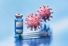 Campak Pada Anak Apakah Menular pada Orang Dewasa?Kenali Risiko dan Cara Pencegahannya