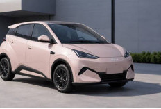 BYD Atto 1: Mobil Listrik China Tantang Dominasi Merek Jepang