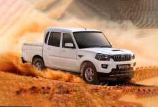 Perbandingan Pikap India dengan Pikap Lokal Indonesia