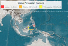 BMKG Resmi Akhiri Peringatan Dini Tsunami Pasca-Gempa M 7,7 di Laut Sulawesi, Sempat Tercatat Gelombang 75 Cm