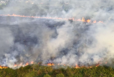 Jangan Dianggap Remeh! Ini Dampak Negatif bagi Kesehatan Akibat Asap yang Dihasilkan dari Kebakaran Hutan