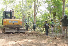 Perambahan TNBBS Terbongkar, Dua Pelaku Pembukaan Jalan Ilegal Resmi Jadi Tersangka