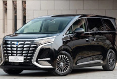 Denza D9 Rilis Di Indonesia, Harga Mulai Rp 820 Jutaan