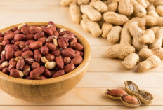 Manfaat Kacang Tanah, Atasi Risiko Serangan Kanker