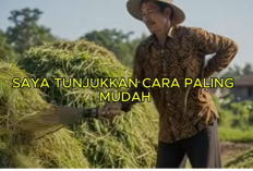 Manfaat Mengolah Rumput Menjadi Kompos Organik Berkualitas Tinggi