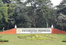 Kasus Pelecehan Verbal, UI Nonaktifkan Sementara 16 Mahasiswa FH UI