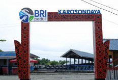 Dari Potensi Lokal ke Prestasi Nasional, Desa BRILiaN Sausu Tambu Perkuat Ekonomi Pesisir