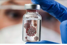 Neng Eem Dorong Kampanye Digital untuk Cegah Virus Nipah dan Penyakit dari Hewan