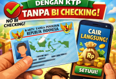 Pinjaman Online dengan KTP Tanpa BI Checking, Solusi Cepat Kebutuhan Mendesak